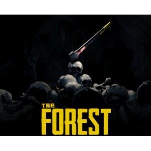 The Forest Steam Gift
