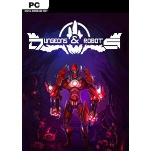 Dungeons and Robots