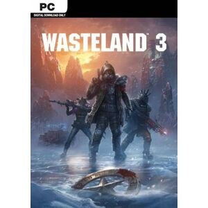 Wasteland 3