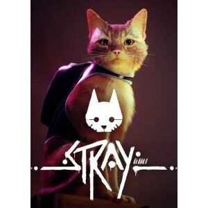 Stray