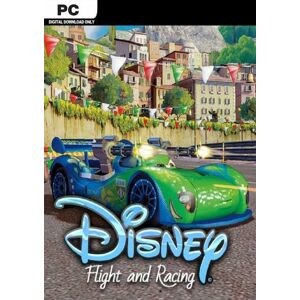 Disney Flight and Racing