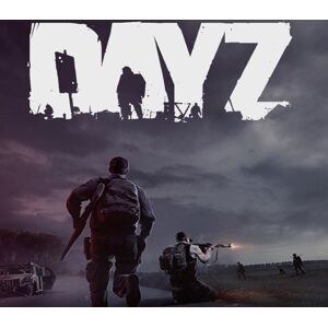 DayZ