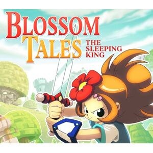 Blossom Tales: The Sleeping King EU PC Steam Altergift