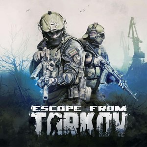 Escape from Tarkov Items > Steam > Bundles > [PVP] 2450 Rounds 7.62x51mm M80A1 Raid Delivery