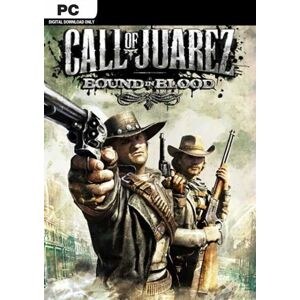 Call of Juarez - Bound in Blood